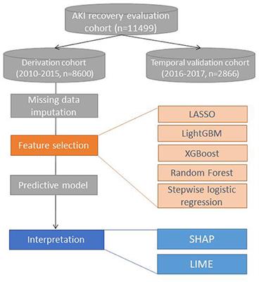 Prediction and Clinically Important Factors of Acute Kidney Injury Non-recovery